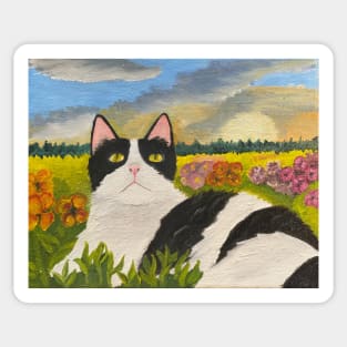 Cat at Sunset Sticker